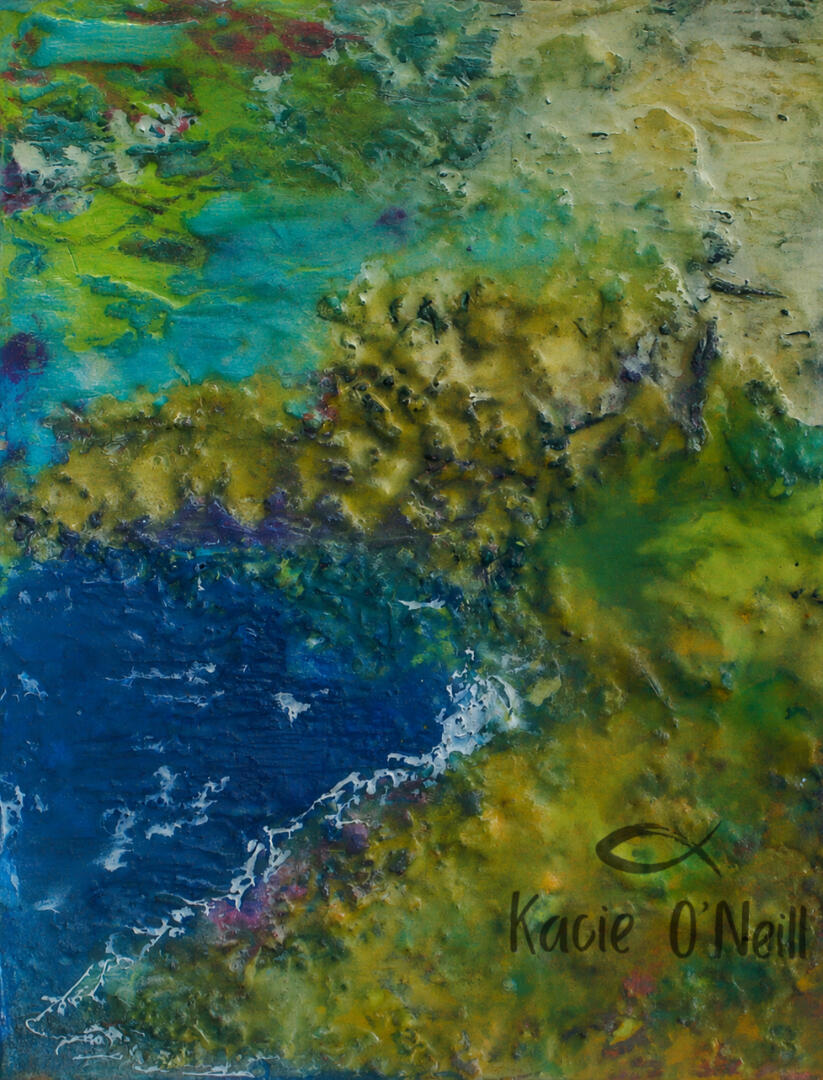 Where the Water meets the land